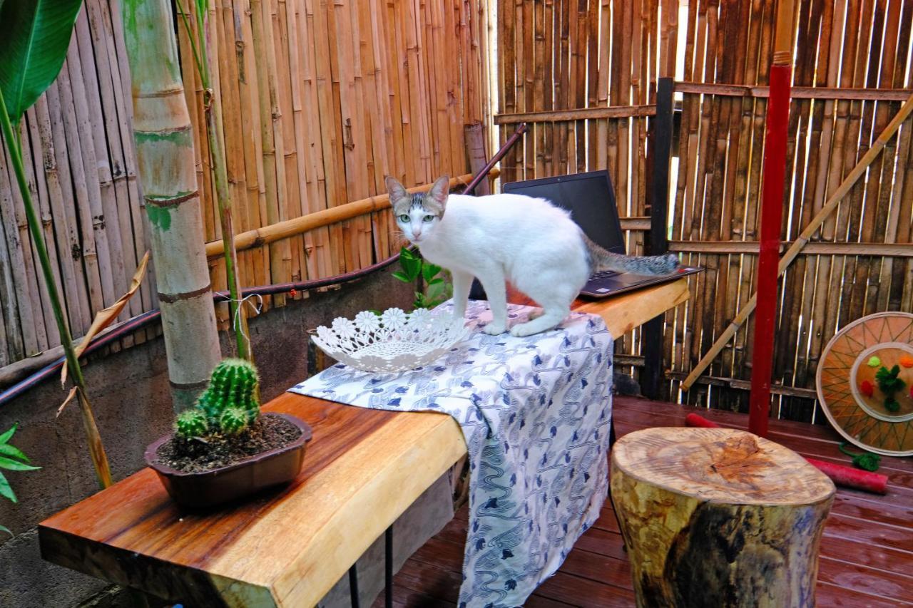 Heyuan Hostal Chiang Mai Exterior foto